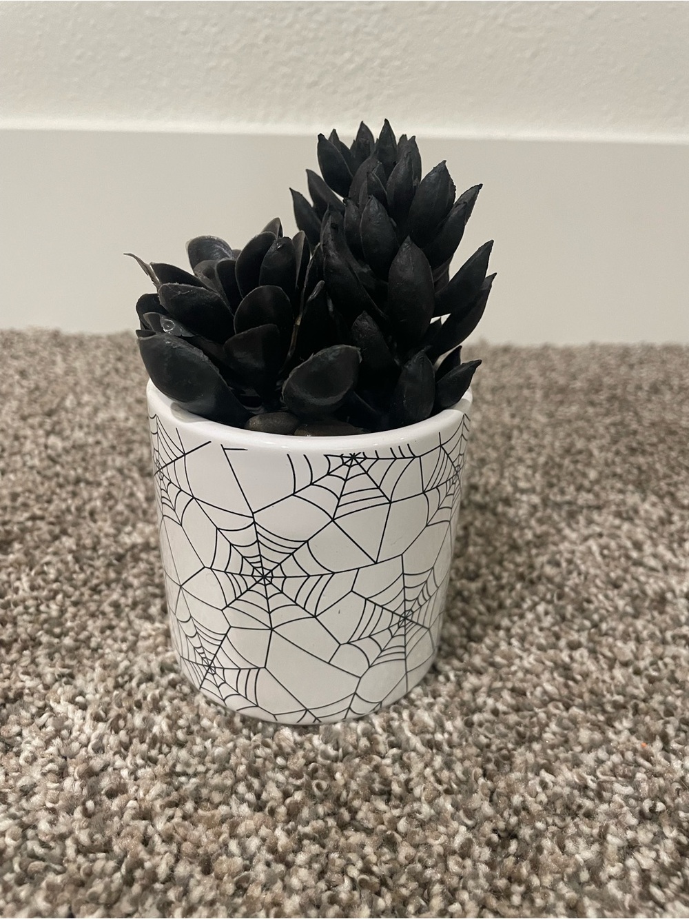 Black Faux Succulent in White Spiderweb Ceramic Planter - Home Accents